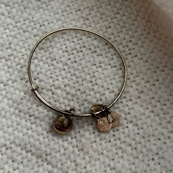 Alex and Ani Amethyst Bangle - Picture 2 of 3